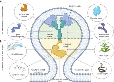 Bacteria-derived chimeric toxins as potential <mark class="highlighted">anticancer agents</mark>
